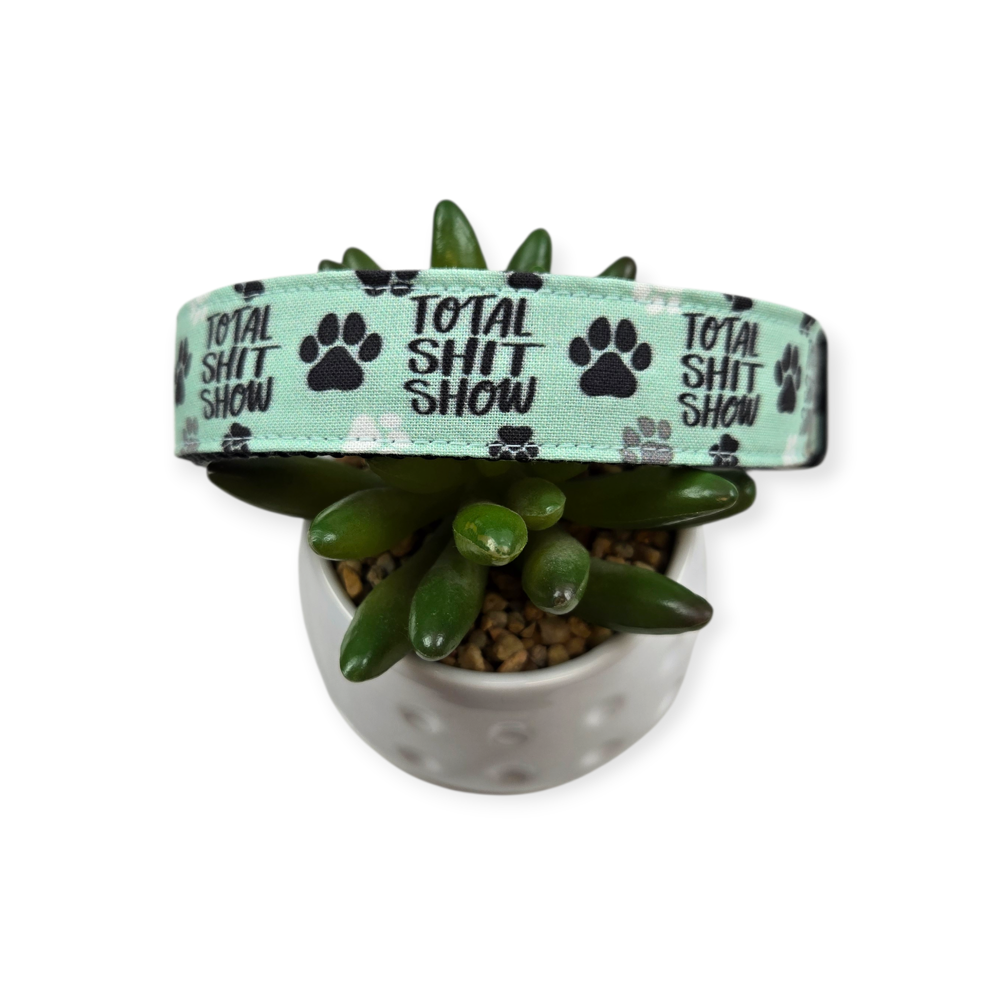 Total Shit Show Dog Collar (Large)