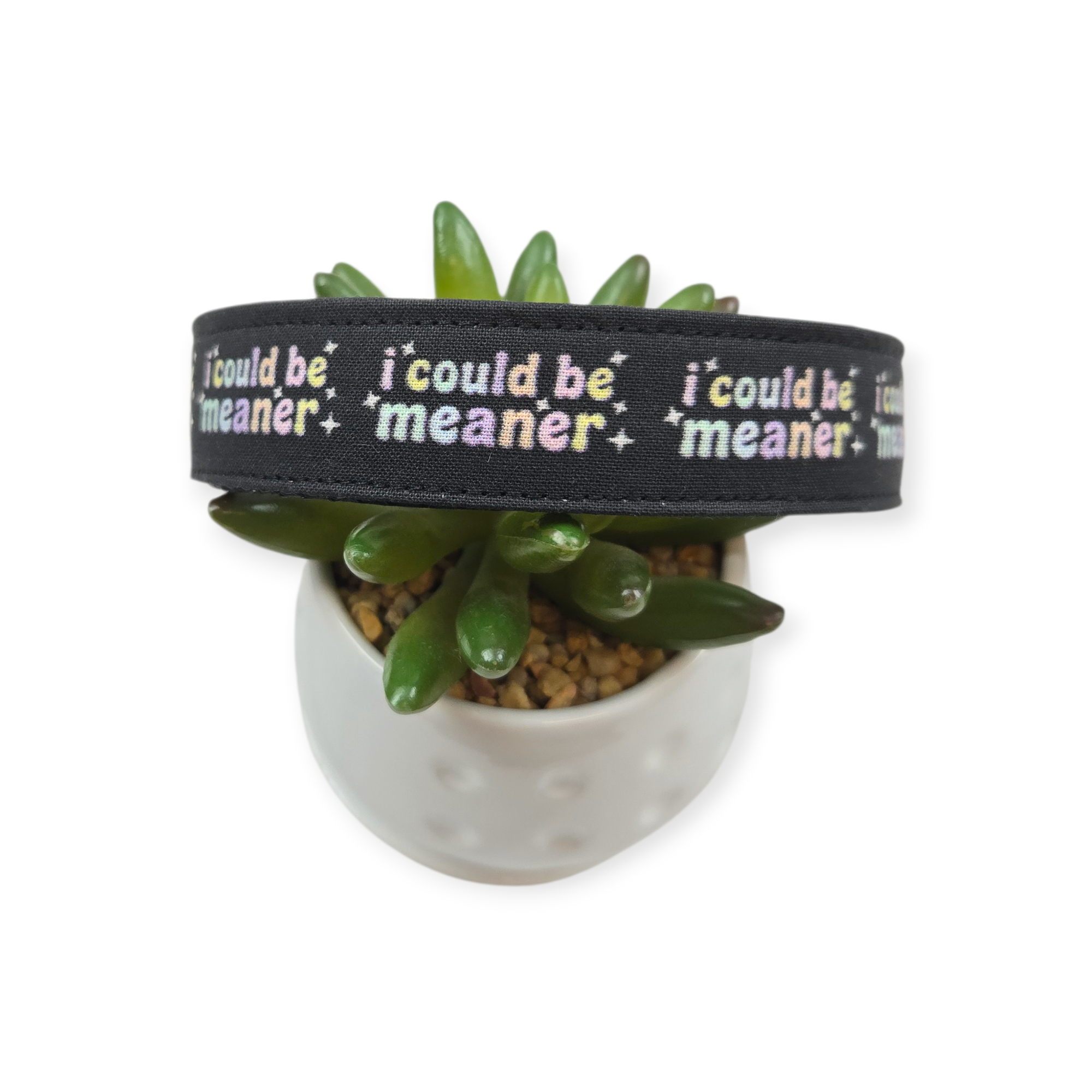 I Could Be Meaner Dog Collar (Large)
