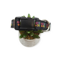 Favorite Child Dog Collar (Large)