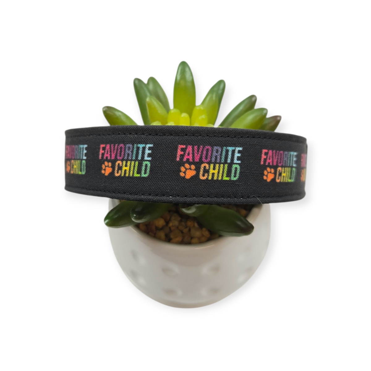 Favorite Child Dog Collar (X-Large, 1" wide)