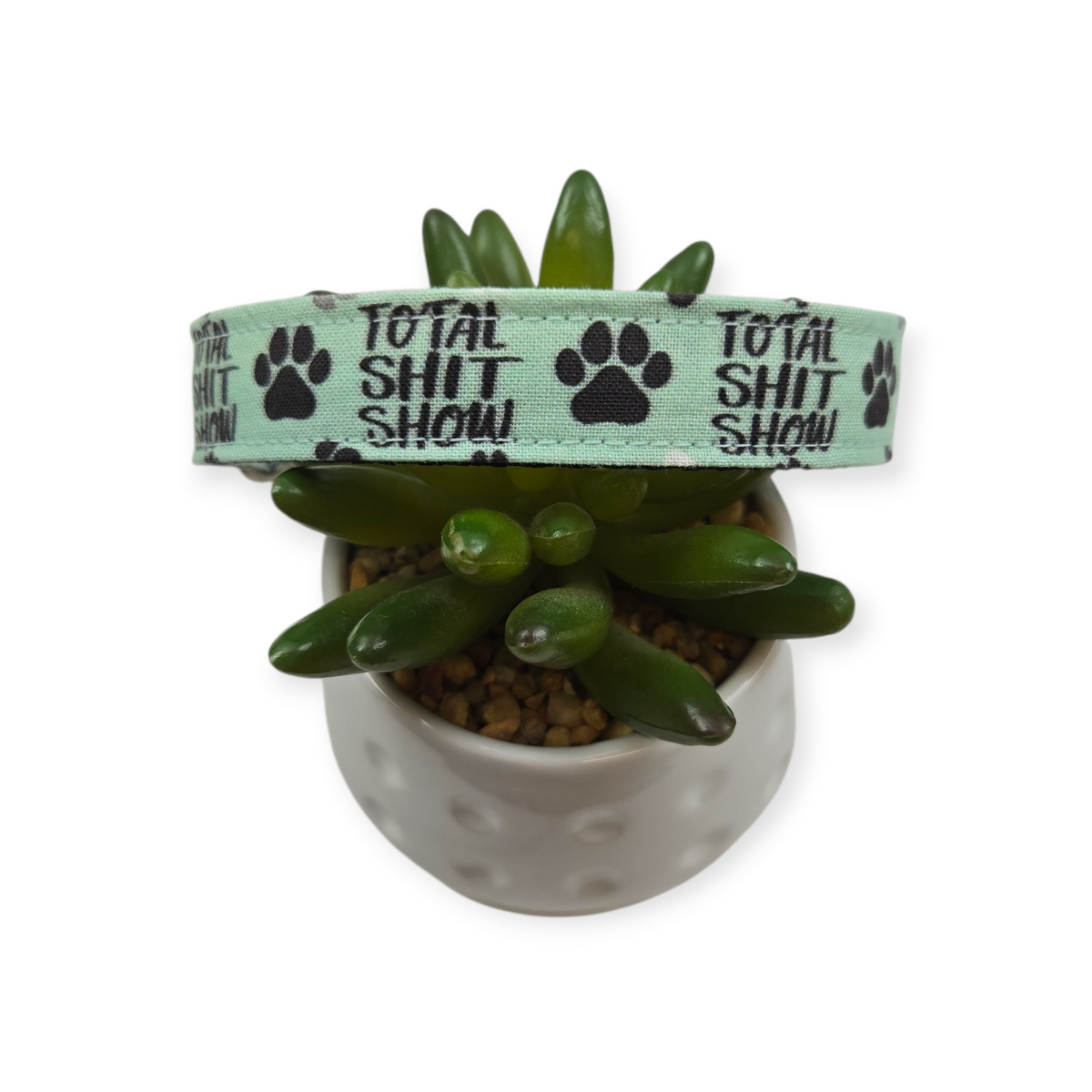 Total Shit Show Dog Collar (Medium)