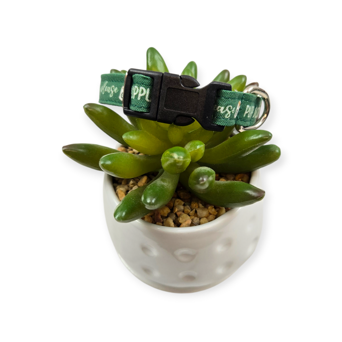 Puppuccino Please Dog collar (X-Small)