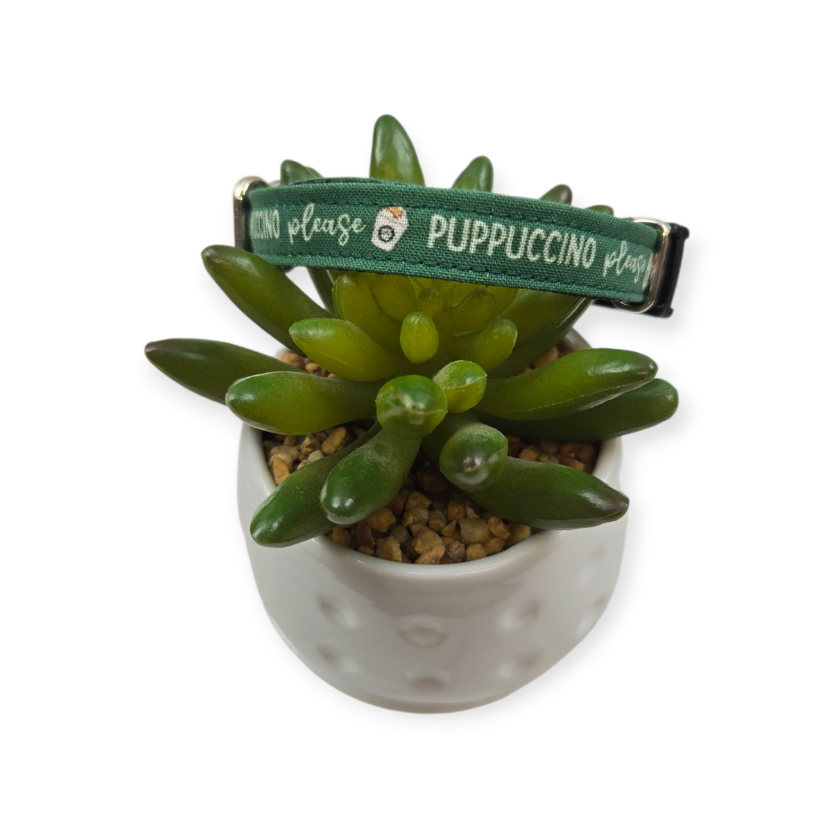 Puppuccino Please Dog Collar (XX-Small)