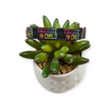 Favorite Child Dog collar (X-Small)