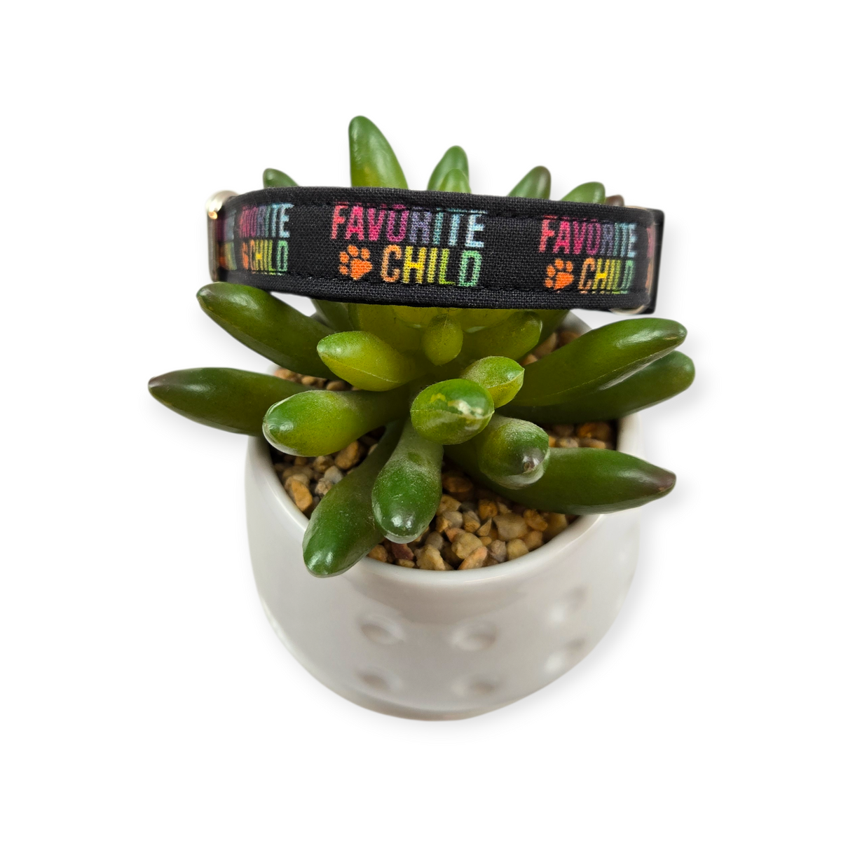 Favorite Child Dog Collar (Small)