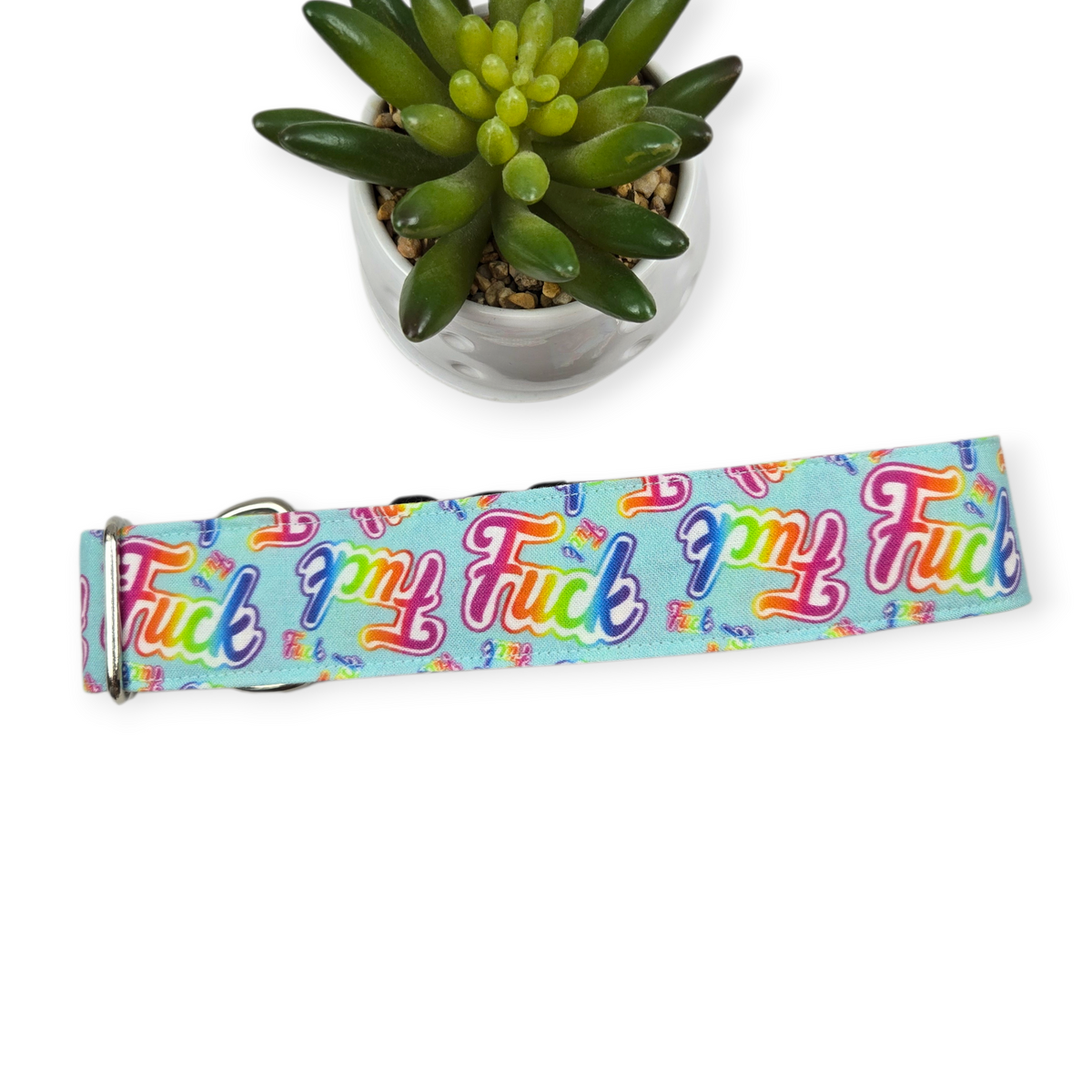 Rainbow Fucks Dog collar (Large, 1.5" wide)