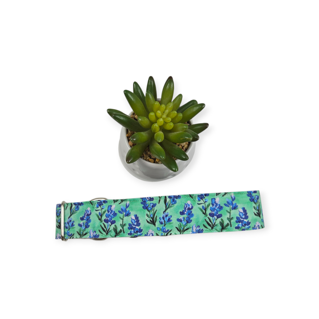 Preppy Bluebonnets on Green Dog Collar (X-Large, 1.5" wide)