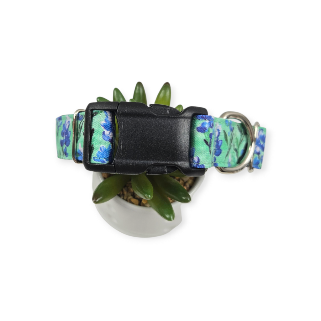 Preppy Bluebonnets on Green Dog Collar (Medium, 1" wide)