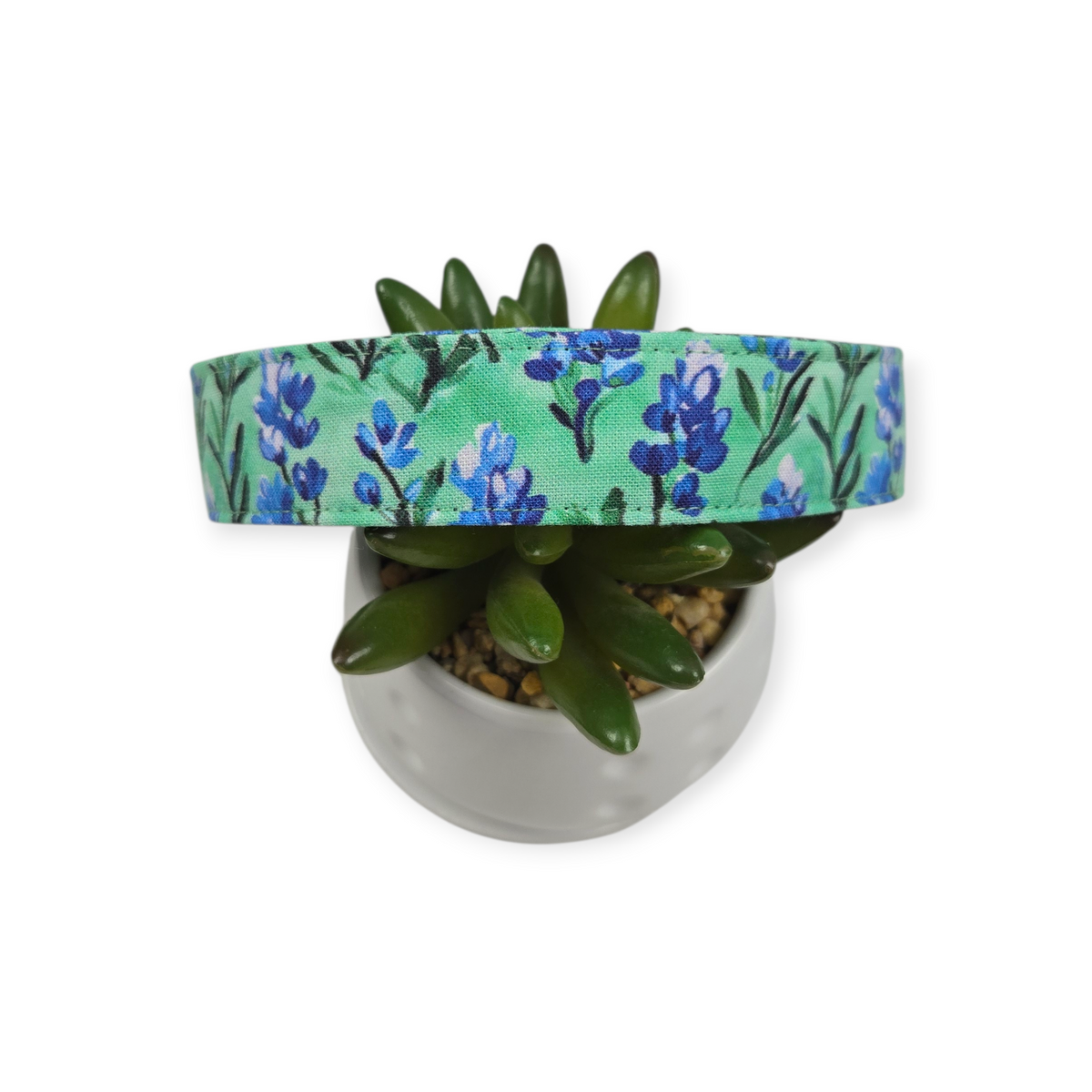 Preppy Bluebonnets on Green Dog Collar (Large)
