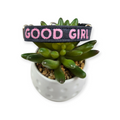 Good Girl Dog collar (Small)