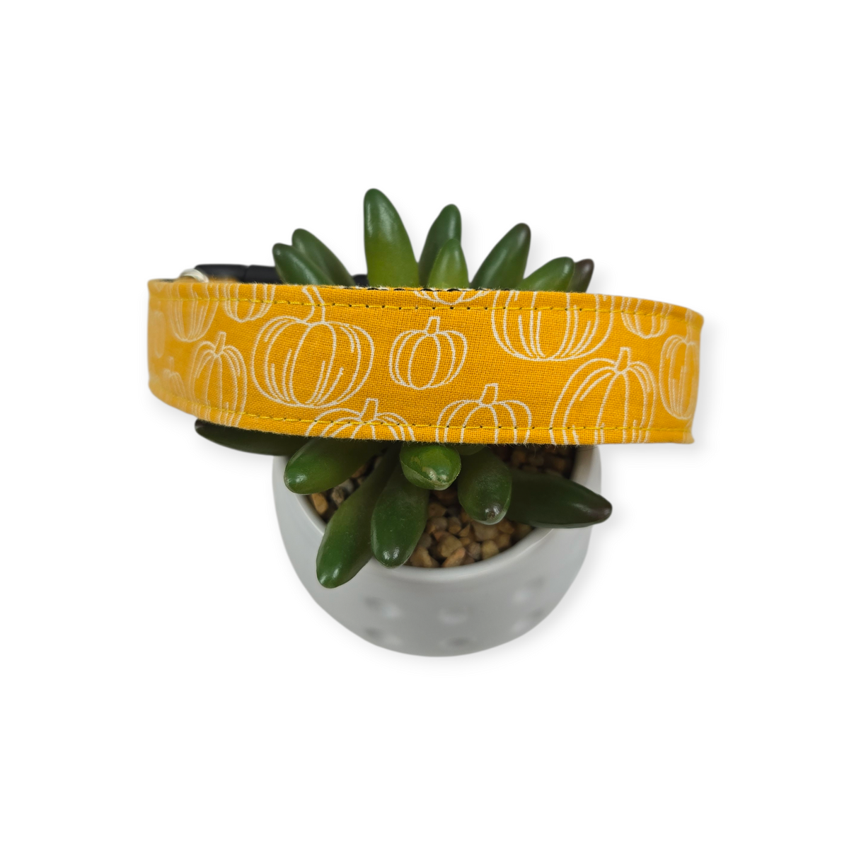 Gold Pumpkin Dog Collar (Large)