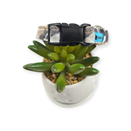 50 Shades Dog collar (Small)