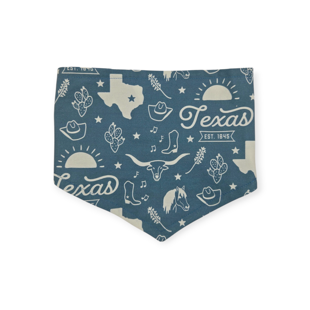 Texas Western Americana/Teal Southwestern Reversible Tie-on Bandana (Medium)