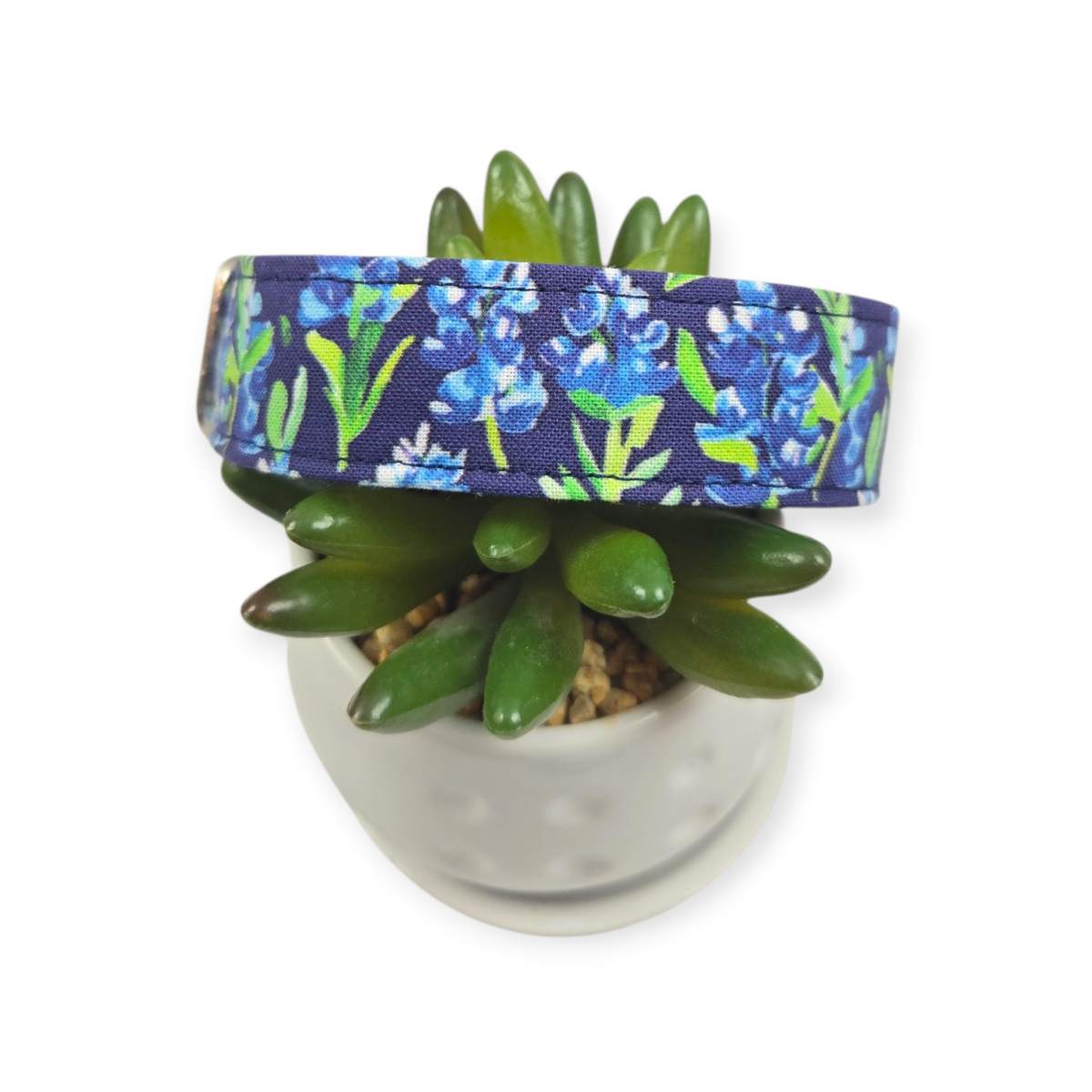Preppy Bluebonnets on Navy Blue Dog Collar (Large)