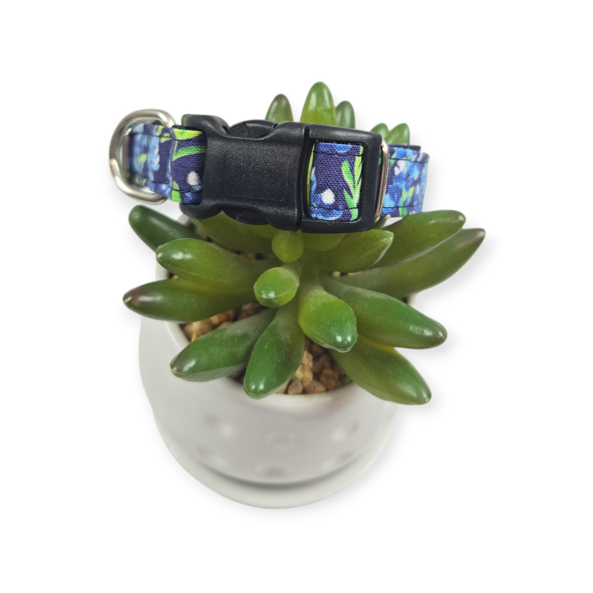 Preppy Bluebonnets on Navy Dog collar (Small)