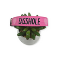 Sasshole Dog Collar (Large)