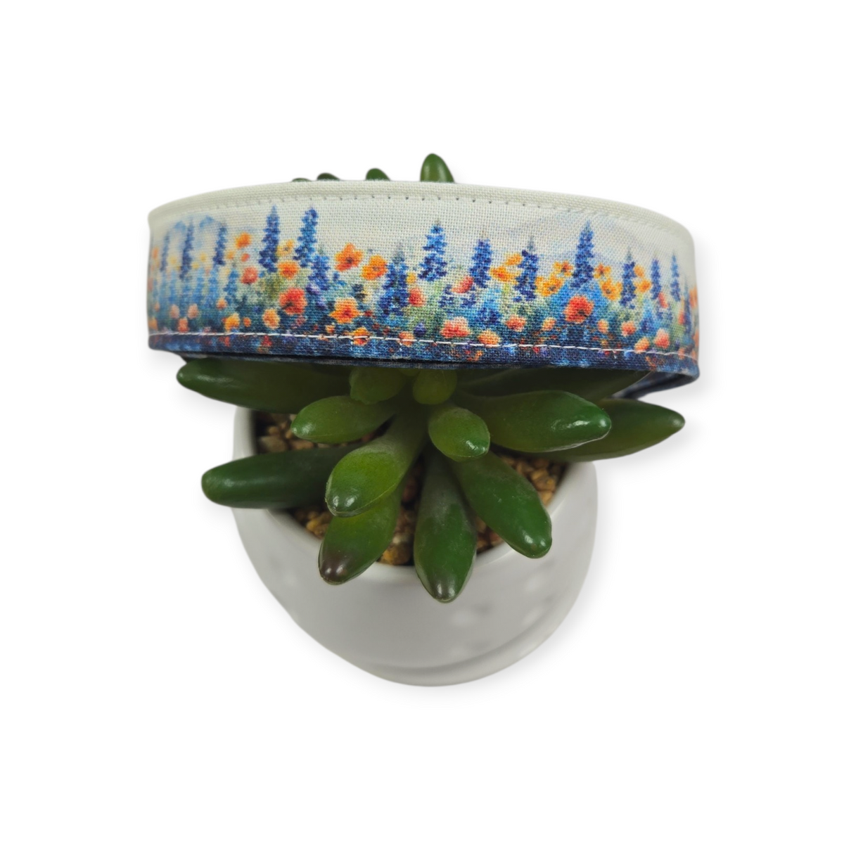 Bluebonnets Fields Dog Collar (Large)