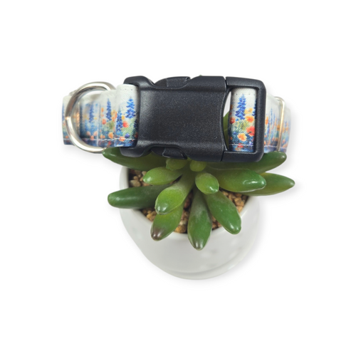 Bluebonnet Fields dog collar (Medium, 1" wide)