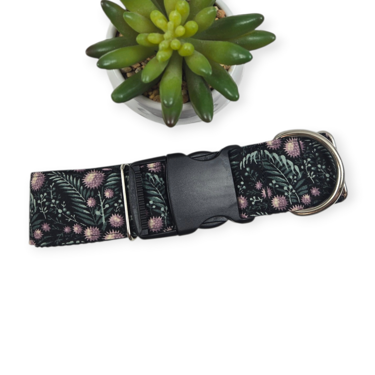 Practical Magic Dog collar (Large, 1.5" wide)