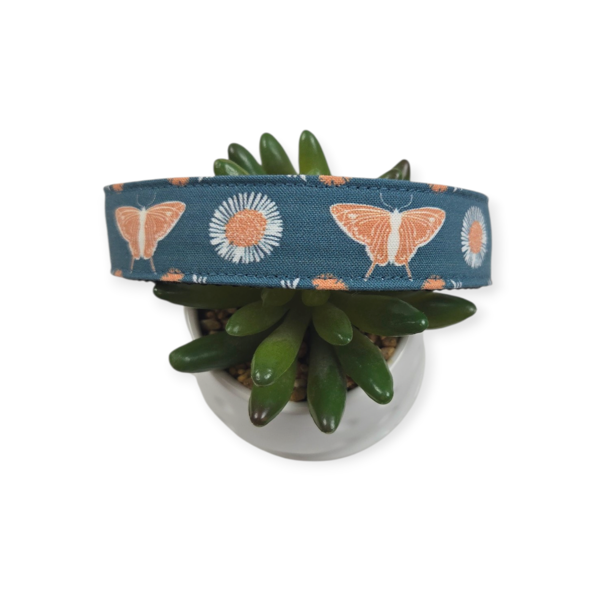 Teal Butterfly Diamond Dog Collar (Large)