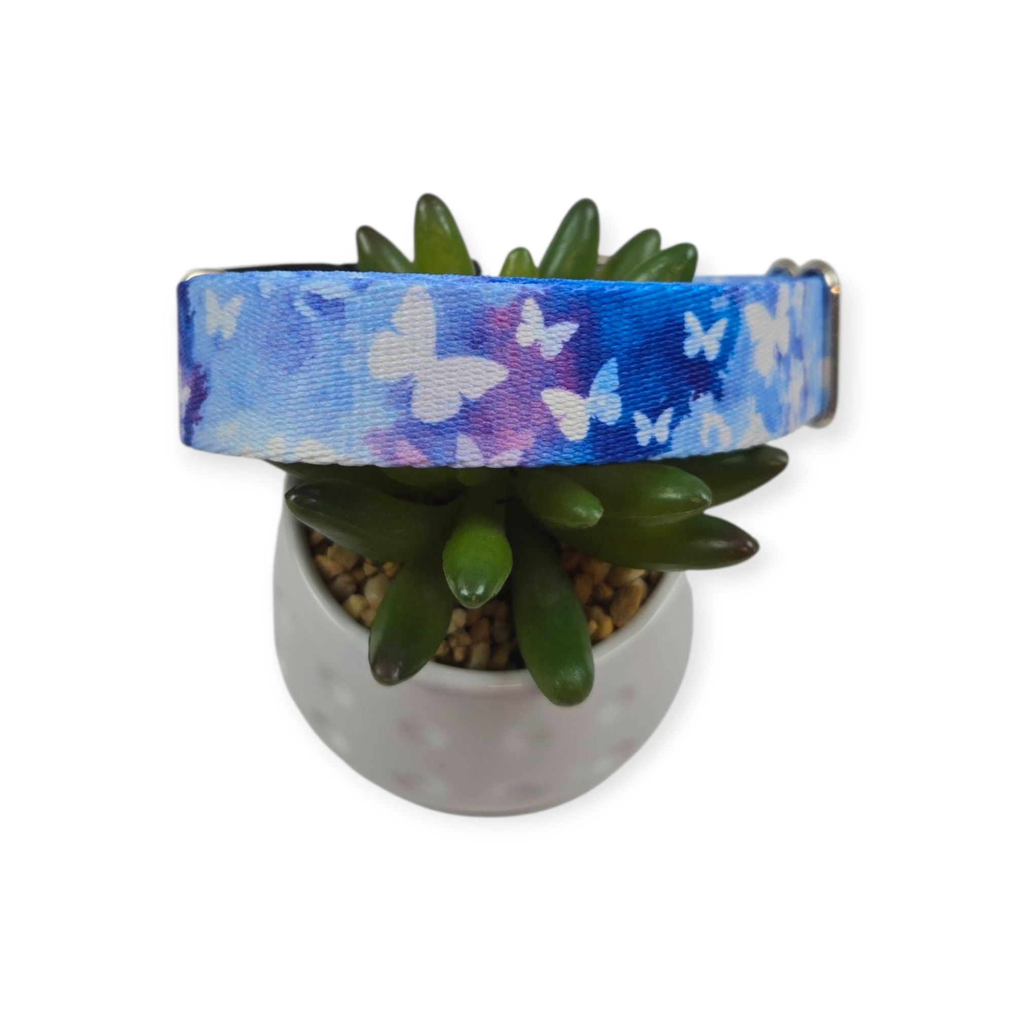 Watercolor Butterflies Dog Collar (Large)