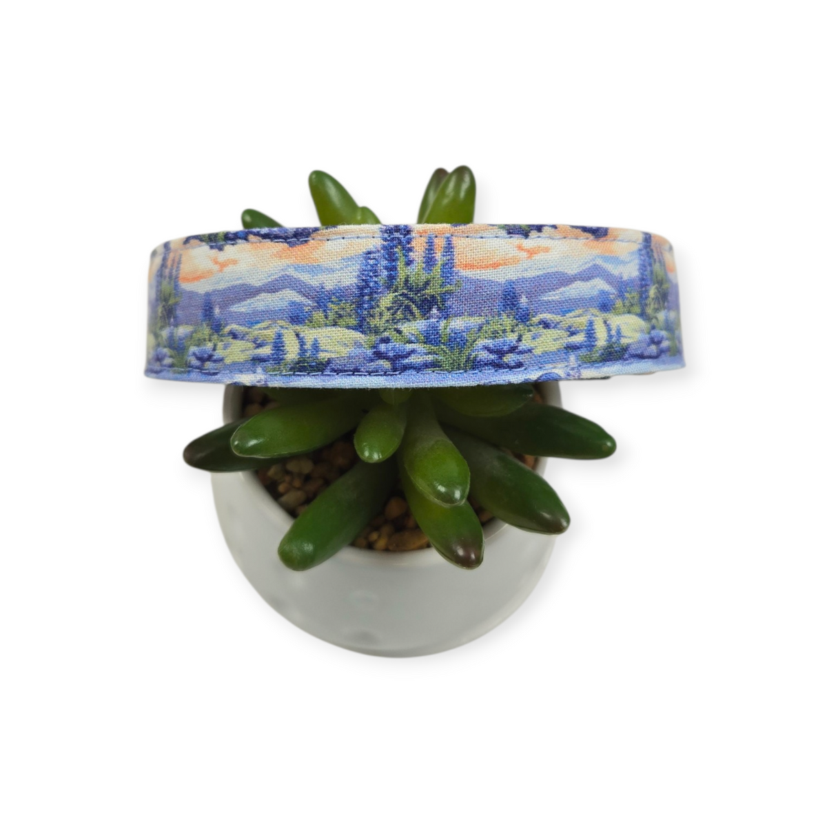Bluebonnets at Big Bend (var #2) Dog Collar (Large)