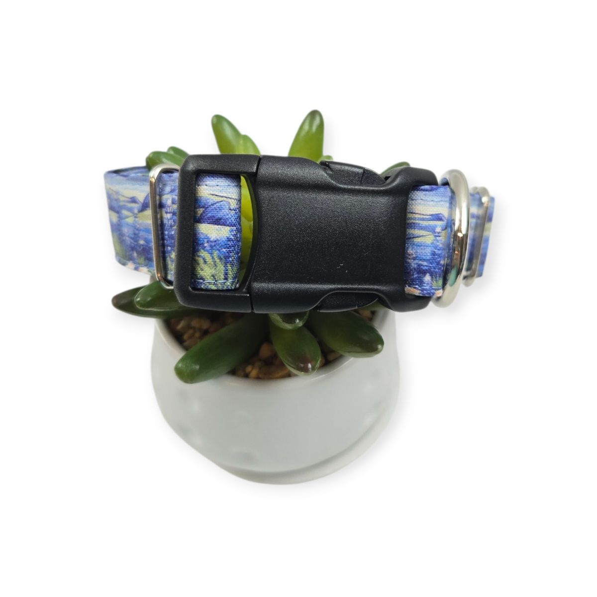 Bluebonnets at Big Bend (var #1) Dog collar (Medium, 1" wide)