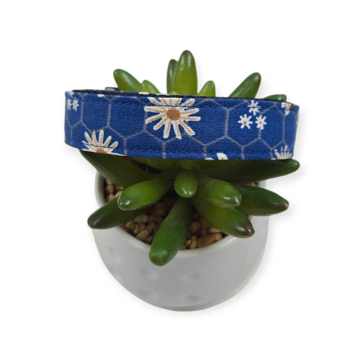 Daisies & Bees Dog collar (Small, 3/4" wide)