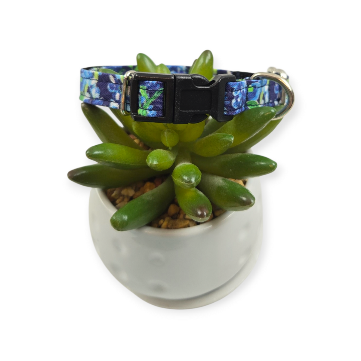 Preppy Bluebonnets on Navy Dog Collar (X-Small)