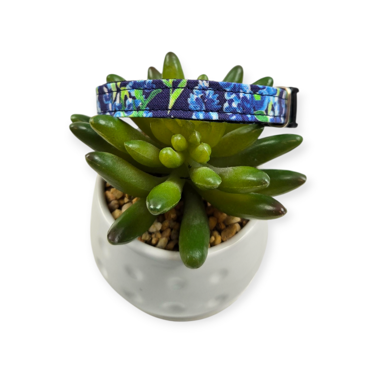 Preppy Bluebonnets on Navy Dog Collar (X-Small)