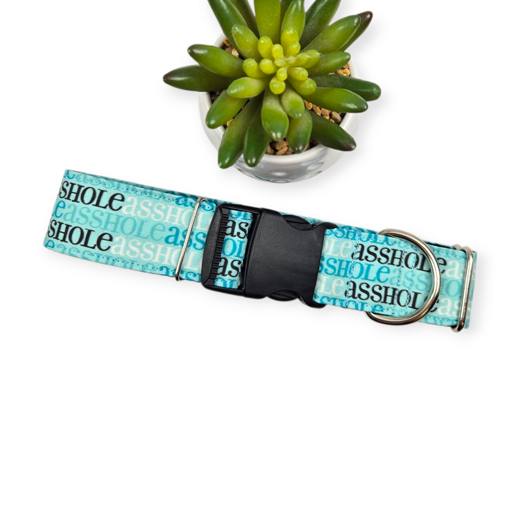 A$$hole on Aqua Dog Collar (X-Large, 1.5" wide)