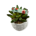 Small Watercolor Poppies Dog collar (XX-Small)