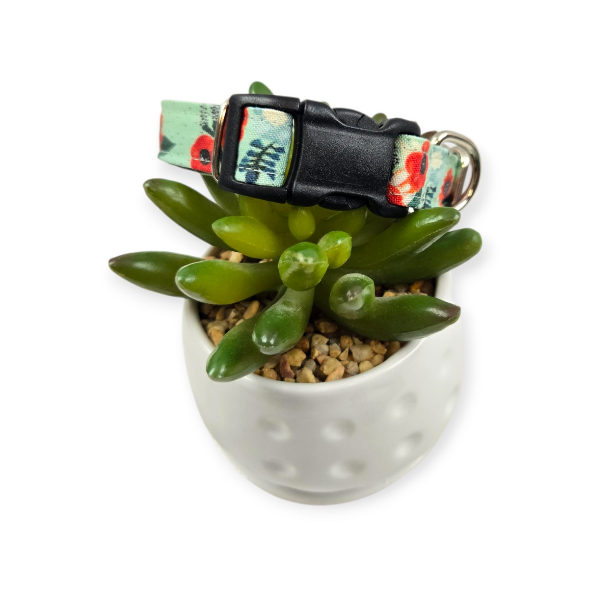 Small Watercolor Poppies Dog collar (Small)
