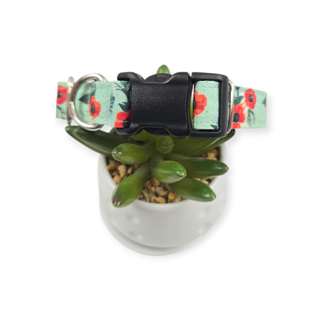 Small Watercolor Poppies Dog collar (Medium)