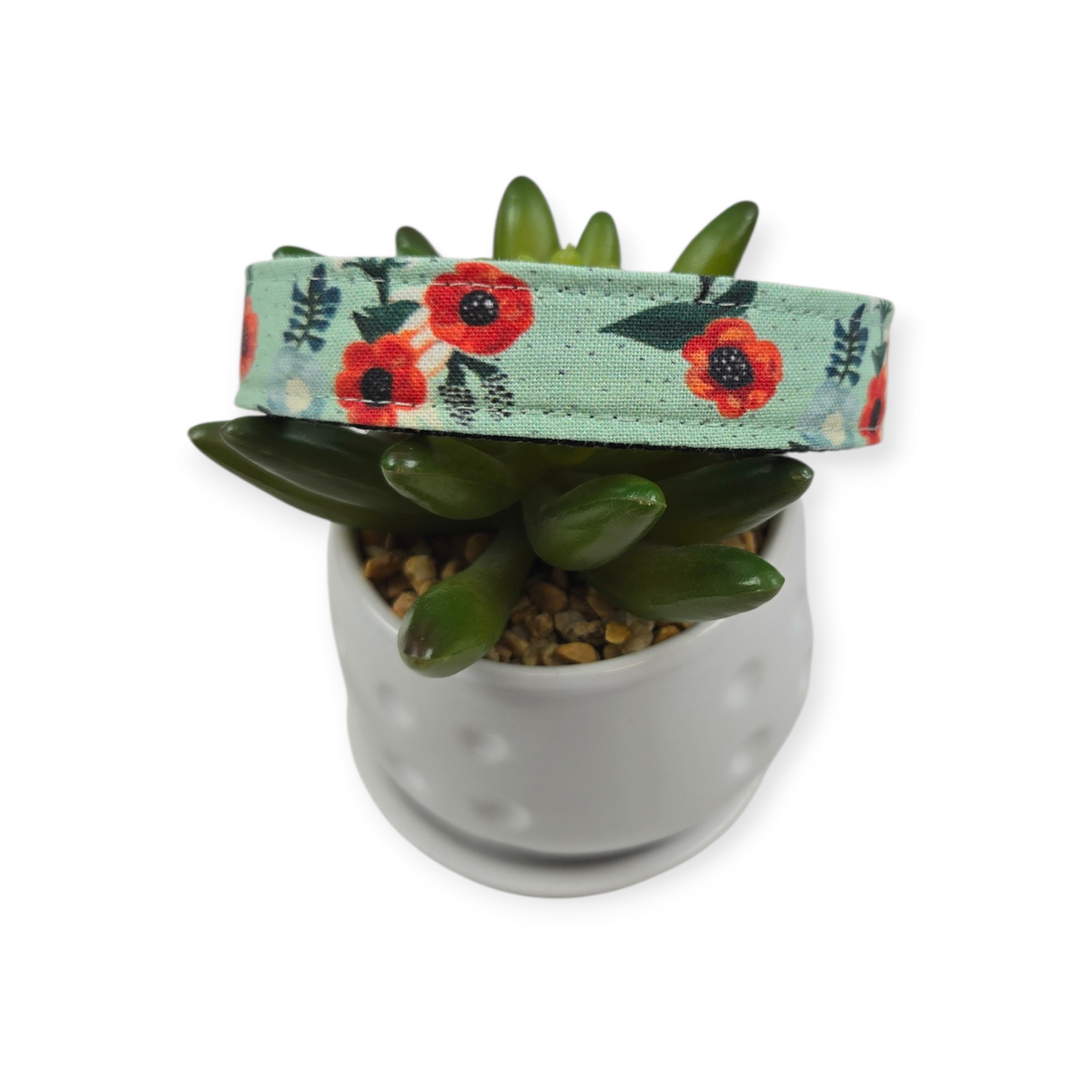 Small Watercolor Poppies Dog collar (Medium)