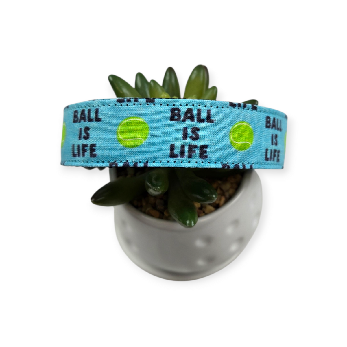 Ball Is Life Dog Collar (Large)