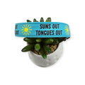 Suns Out Dog collar (Medium, 1" wide)