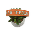 Texas on Burnt Orange Dog Collar (Large)
