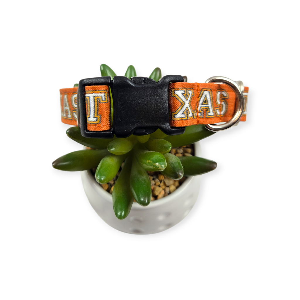 Texas on Burnt Orange Dog Collar (Medium)