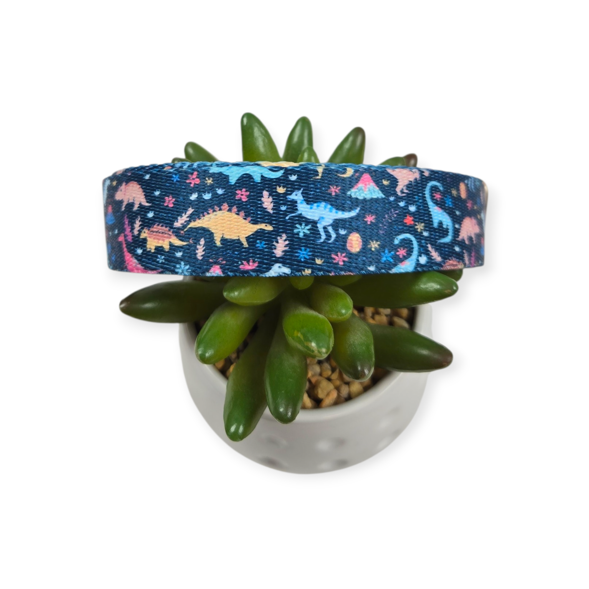 Dinosaurs Dog Collar (Large)