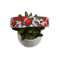 Poppy Floral on Pink Dog Collar (Large)