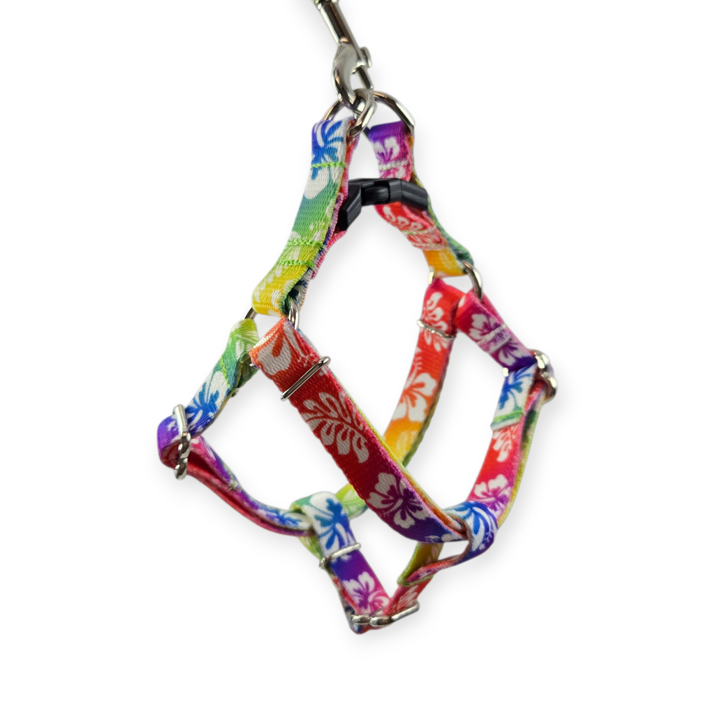 Rainbow Hawaiian Step-In Harness (X-Small)
