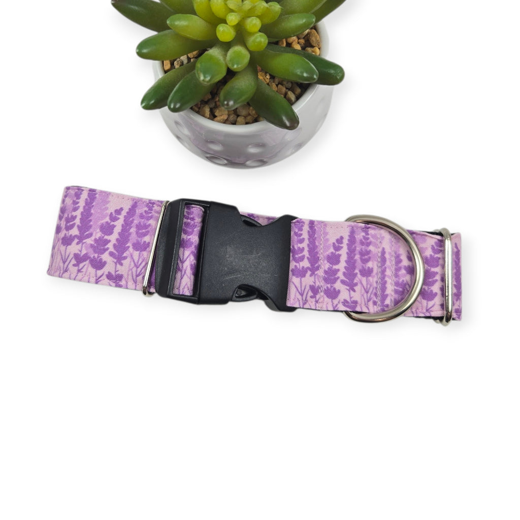 Lavender Fields Silhouette Dog Collar (XX-Large, 1.5" wide)