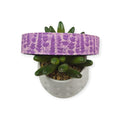 Lavender Fields Silhouette Dog Collar (Large)