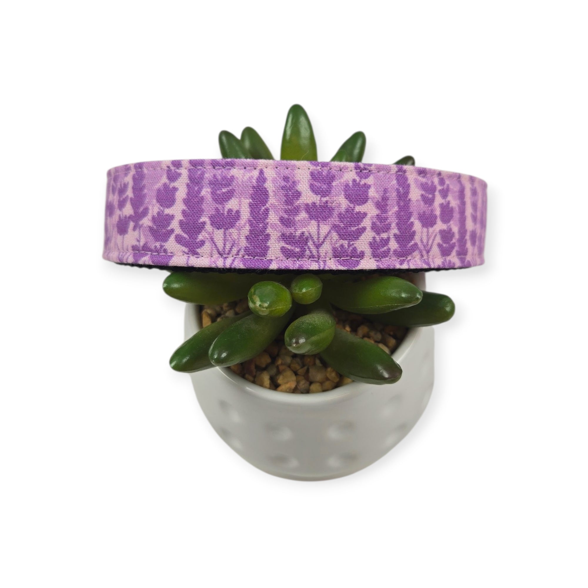 Lavender Fields Silhouette Dog Collar (Large)
