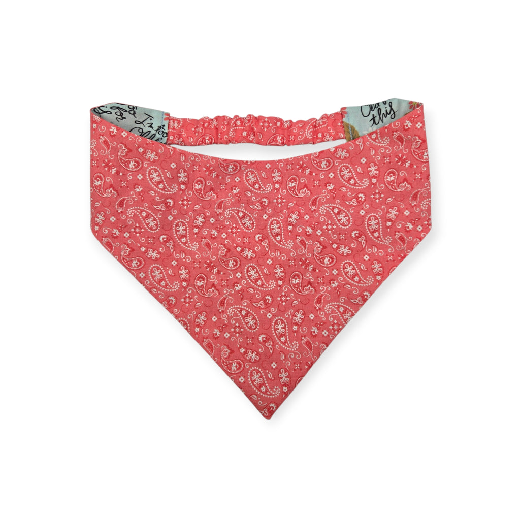 I'm Too Old For This/Coral Paisley Reversible Slip-on Scrunchie Bandana (Small/Medium)