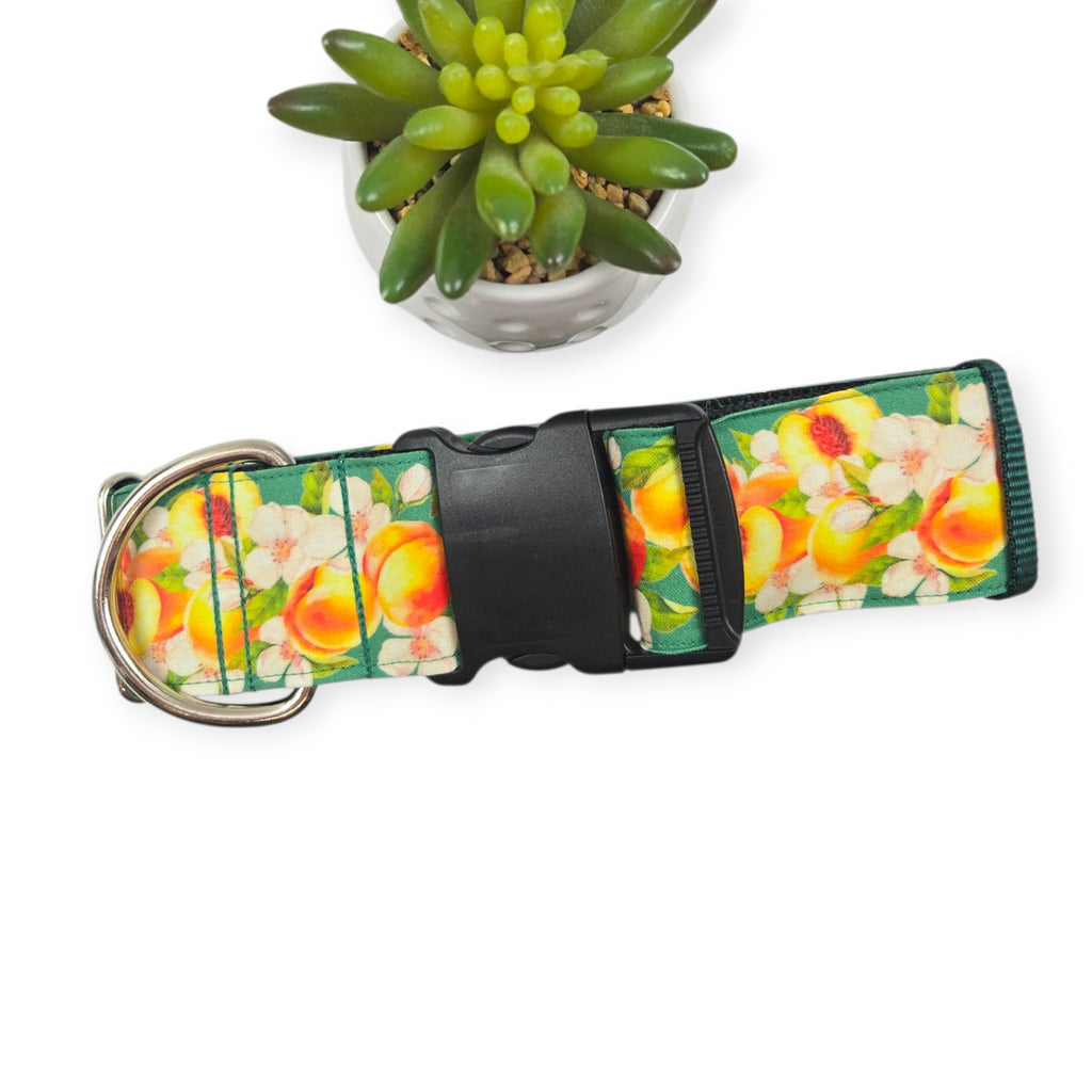 Peach Blossoms Dog Collar (X-Large, 2" wide)