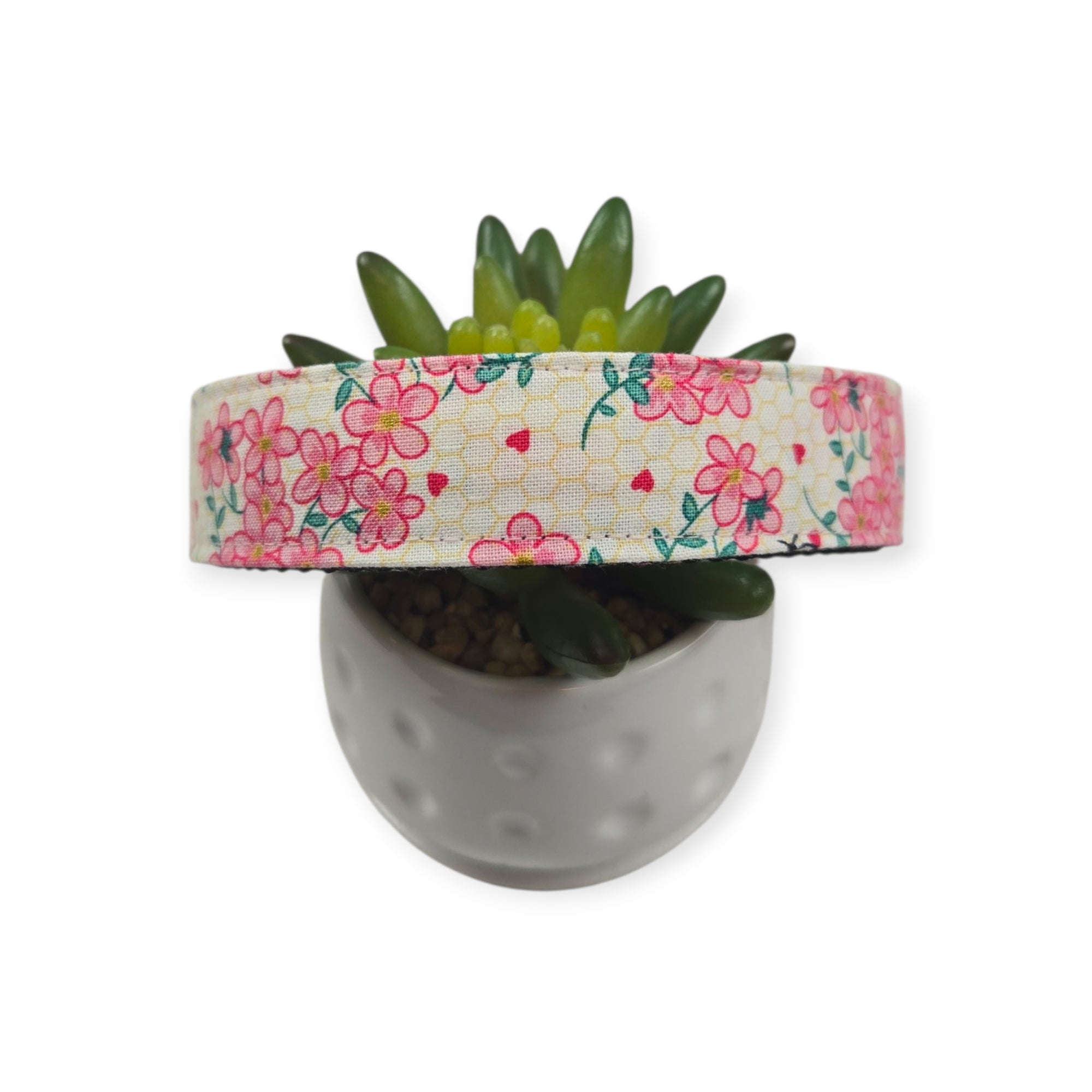 Blush Mint For You Dog Collar (Large)