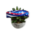 Star Spangled Dog Collar (Large)