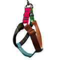 Rainbow Hearts Step-In Harness (Medium)